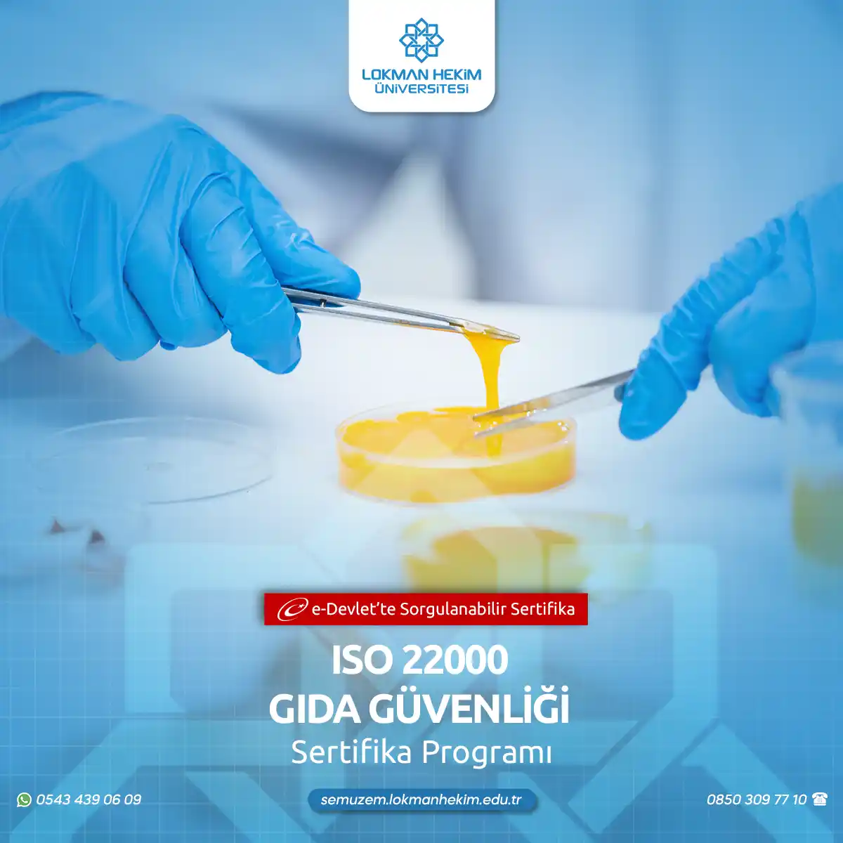 ISO 22000 Gıda Güvenliği Sertifikalı Eğitim Programı
