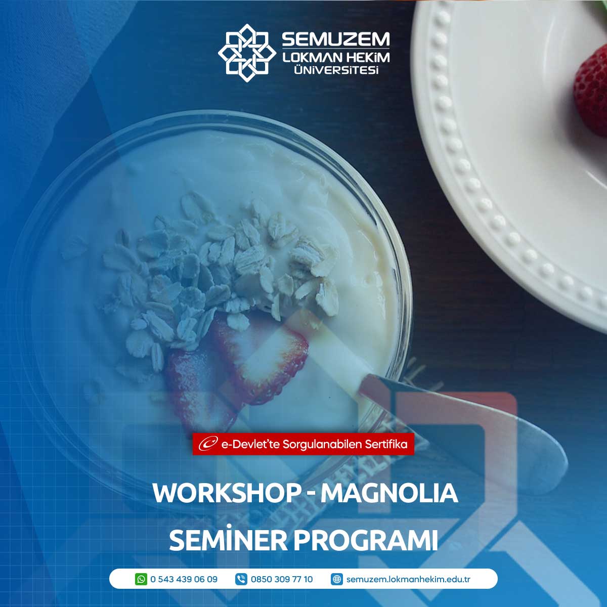 Workshop - Magnolia Semineri